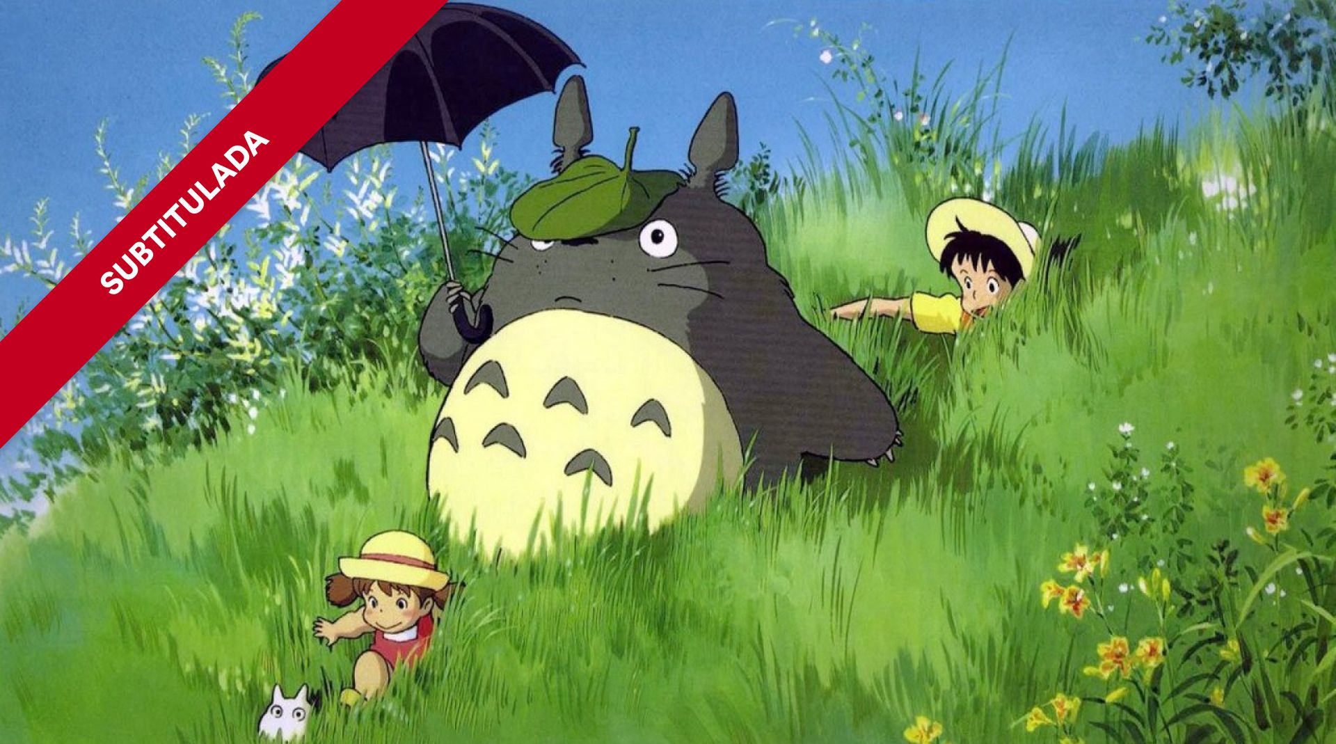 MI VECINO TOTORO